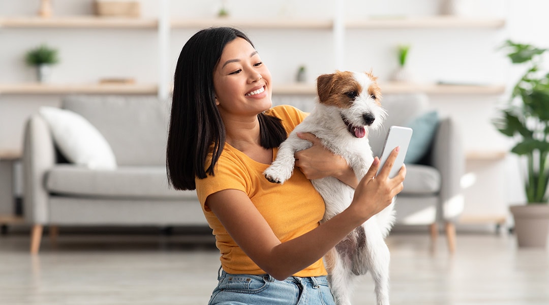 Order pet 2024 prescriptions online