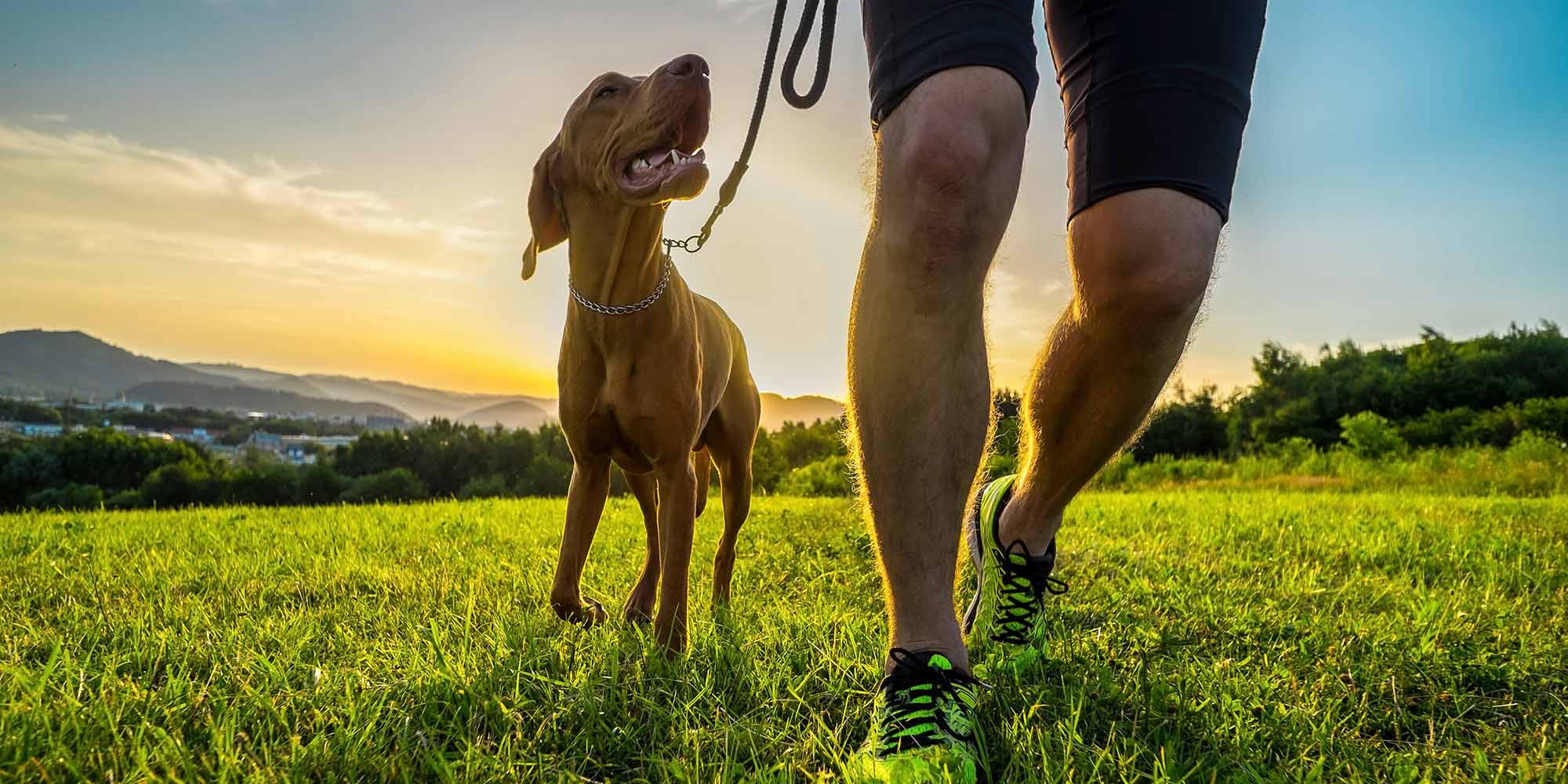 Tips for Dog Exercise