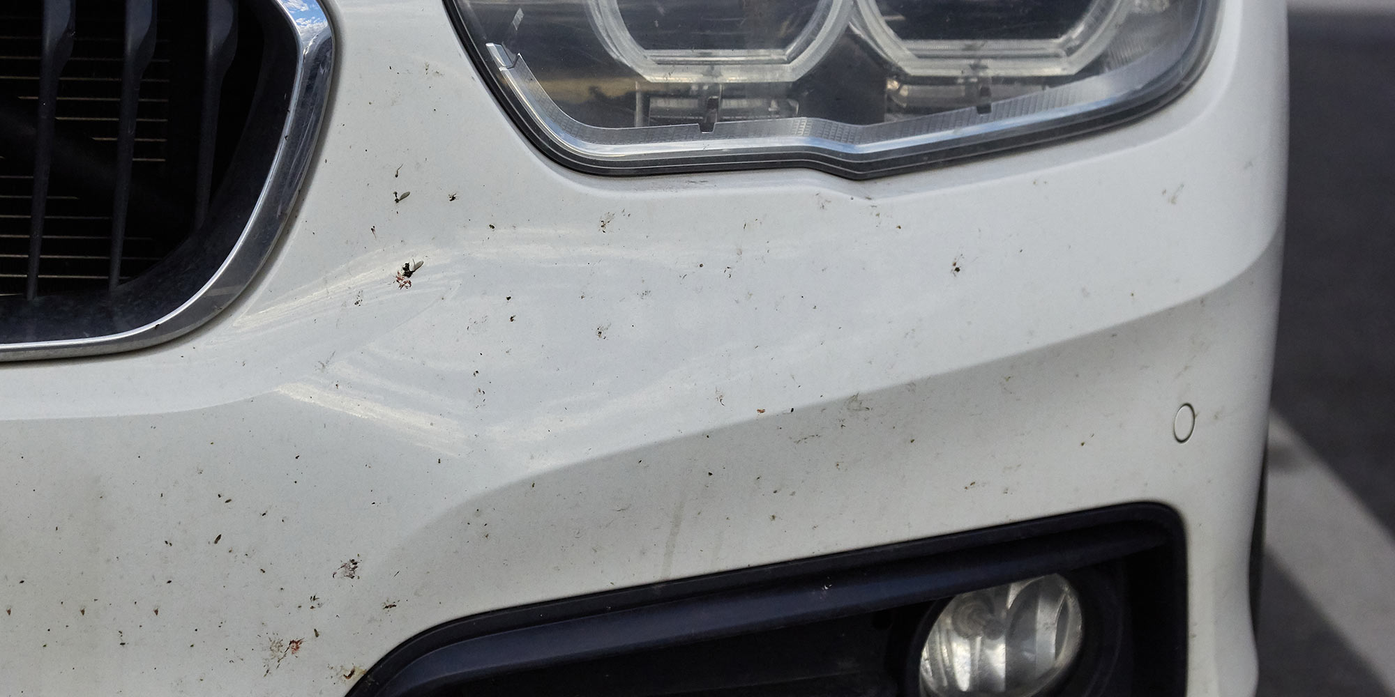How To Remove Bugs From a Car