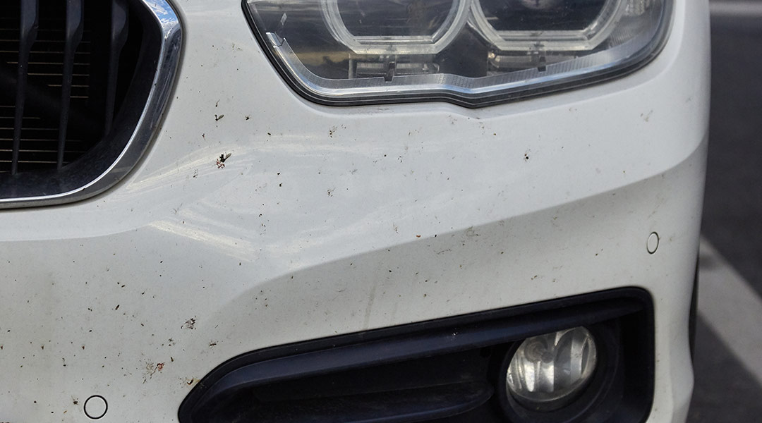 How To Clean Bugs Off Your Car And Keep Them Off