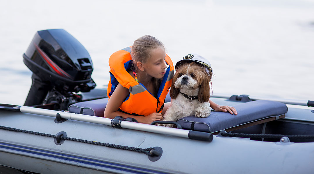 Top Boating Accessories For Your Dog - Galati Yachts